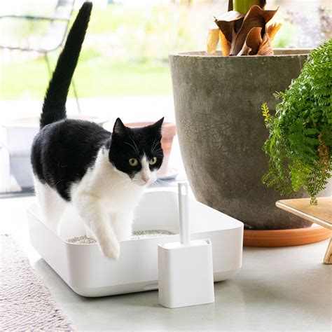 Hoopo® Poh Litter Box White Tofu Cat Litter Hoopo®