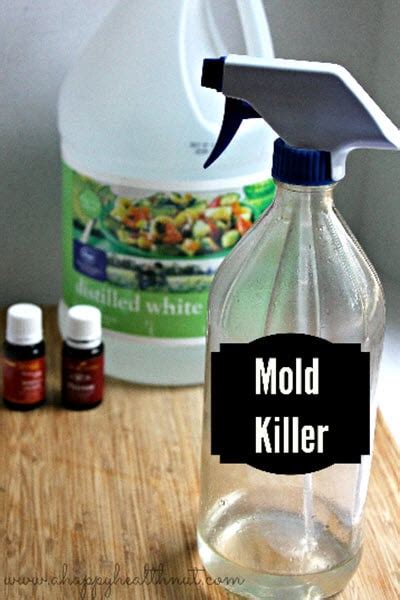 DIY Mold Remover Spray - Homestead & Survival