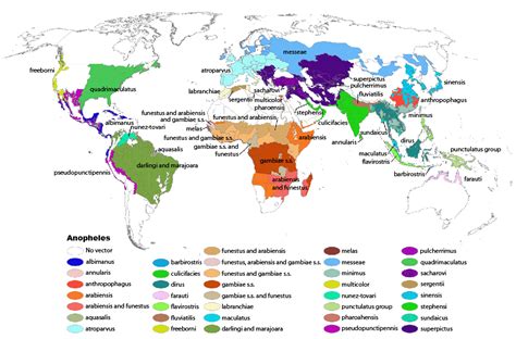 Map showing which malaria vectors populate various parts of the world Mosquito Disease, Insect ...