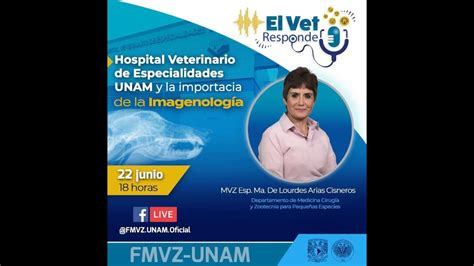 Hospital Veterinario De Especialidades Unam Y La Importancia De La