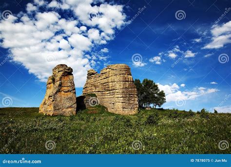 Grassland Stone Forest Stock Image Image Of Farm Foliage 7878075