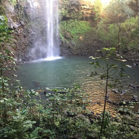 Secret Falls Trail Wailua Atualizado 2022 O Que Saber Antes De Ir