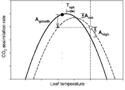 Conceptual Figure Of Thermal Adjustments Of Co Assimilation Rates A