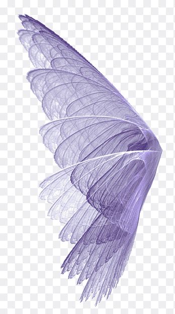 White Wings Art Purple Angle Pattern Bird Feathers Simple Fantasy