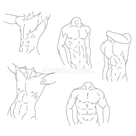 Top More Than 79 Man Chest Sketch Best Seven Edu Vn