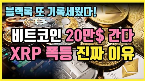 리플 Xrp의 시간이 다가옵니다 ⎮ 비트코인 리플 이더리움 비트코인etf 비트코인가격 비트코인전망 크립토 블라블라