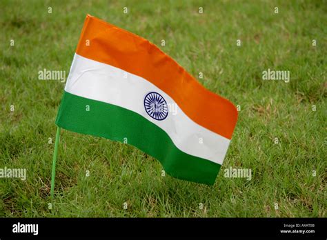 SSK73942 Indian Flag of India saffron on top olive at bottom white with ...