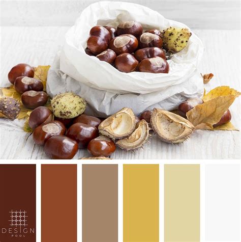 Chestnut Color Palette Color Schemes Colour Palettes Brown Color