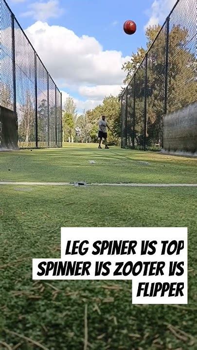 Leg Spinner Vs Top Spin Vs Zooter Vs Flipper The Difference