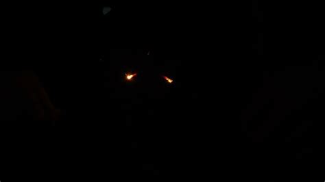 Red Glowing Eyes Stock Video Footage For Free Download