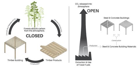 Mass Timber Growing Sustainability Draw