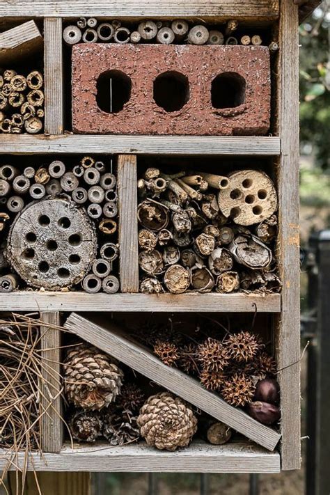 Why And How To Build An Insect Hotel To Encourage Beneficial Insects