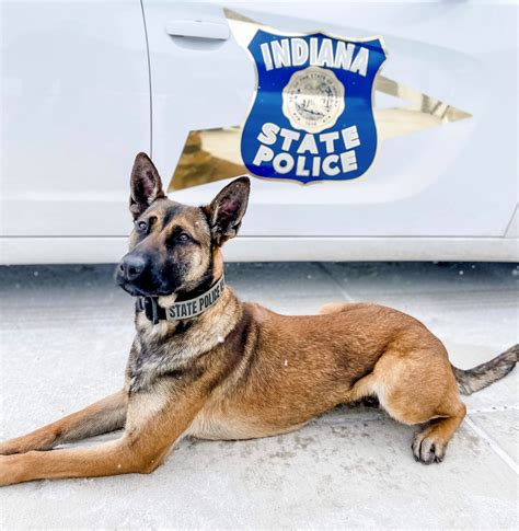 Indiana State Police K9 Bo To Get Donation Of Body Armor