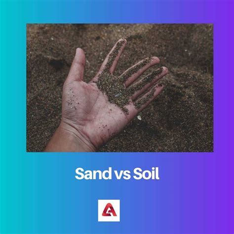 Sand Vs Soil Difference And Comparison