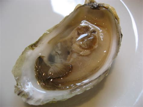 Food PORN Literotica Discussion Board