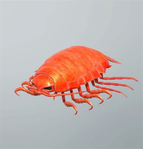 Red Giant Isopod Sonic Wiki Zone Fandom