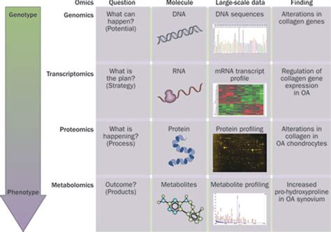 1 Levels Of Studying In Systems Biology As Genomic Transcriptomic