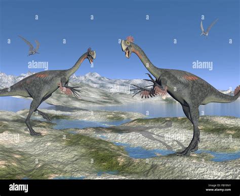 Two gigantoraptor Stock Photo - Alamy