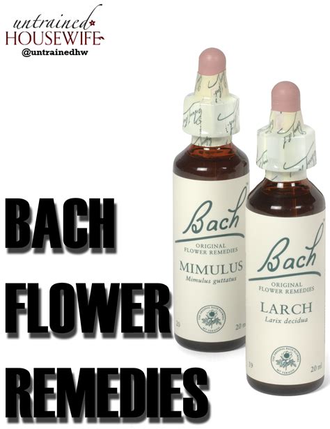 How to Use Bach Flower Remedies at Home