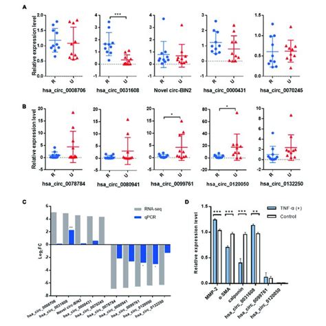 Validation Of The Significantly Differentially Expressed CircRNAs In