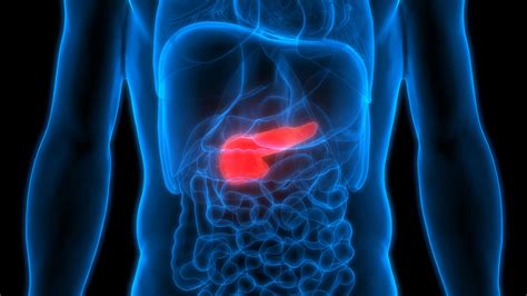 Pancreatitis And Diabetes Symptoms Treatments And Complications