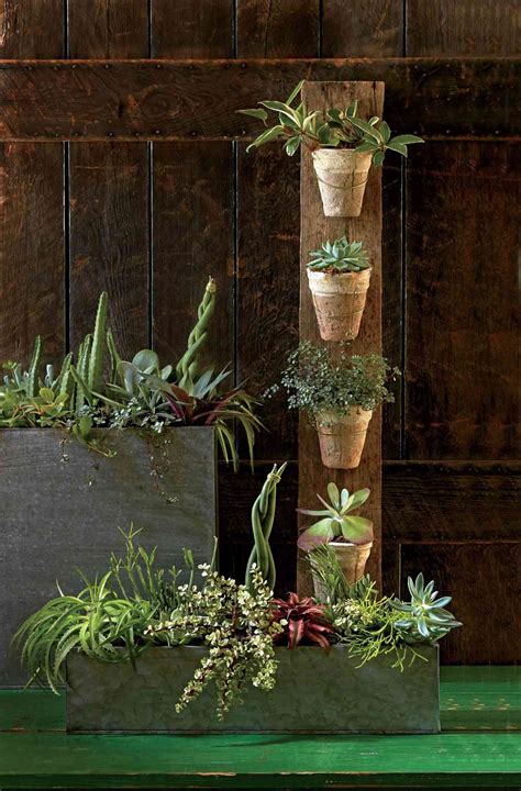 29 Best Indoor Container Gardening Ideas