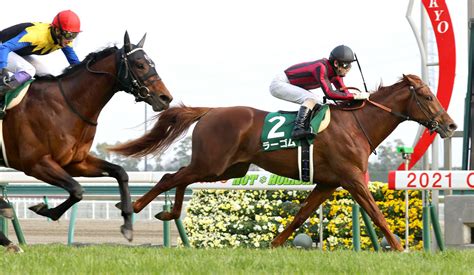 【注目馬動向】きさらぎ賞勝ち馬 ラーゴムは皐月賞直行 スポーツ報知