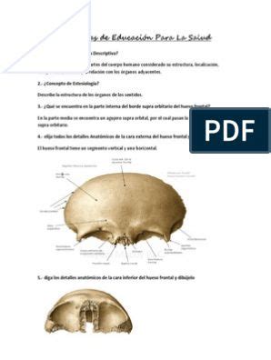 Manual De Proyecciones Radiol Gicas Versi N Compartida Pdf