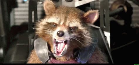 Rocket Raccoon Guardians Of The Galaxy Rocket Raccoon Guardians