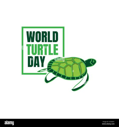 Vector Of Logo For World Turtle Day Swim In The Sea With In Square