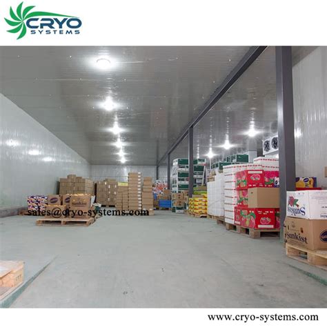 cámara frigorífica de fruta y verdura Cryo Systems Co Limited