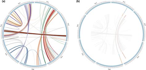 Collinear Genes Analysis A Circle Plot Of 77 Collinear Blocks Download Scientific Diagram