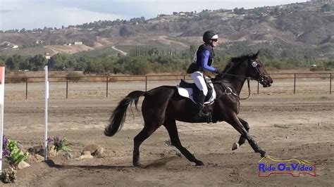 Xc Nancy Emsley On Parqueterie Sr Novice Cross Country Galway Downs