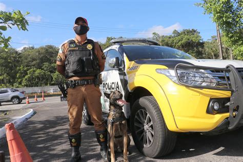 Polícia Rodoviária Utiliza Cães De Faro Contra O Tráfico De Drogas No