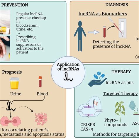 Lncrnas As Biomarkers For The Prevention Diagnosis Prognosis And