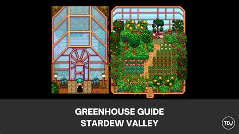 Stardew Valley Greenhouse Guide The Daily Juice