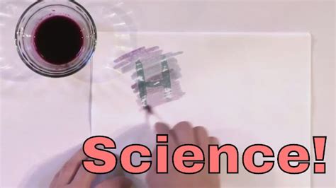 Science Experiment Invisible Ink