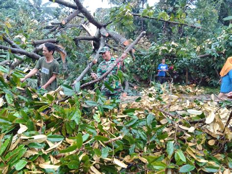 Anggota Posramil Warungpring Bantu Evakuasi Pohon Tumbang Yang Menimpa