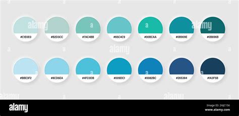 Paleta De Colores En Estilo Plano Ilustración De Vector De Muestra Pantone Sobre Fondo Aislado