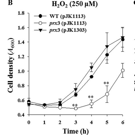 Growth Of The V Vulnificus Strains Under Oxidative Stress The V