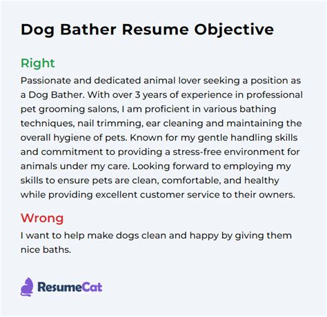 Top 17 Dog Bather Resume Objective Examples Resumecat