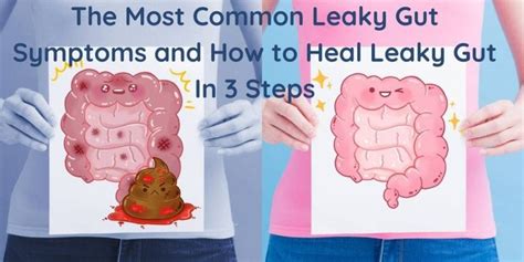 The Most Common Leaky Gut Symptoms And How To Heal Leaky Gut In 3 Steps