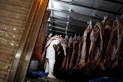 Exporta O De Carne Do Brasil Cresce Em Novembro China Puxa