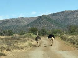 Graaff-Reinet Division | South African History Online