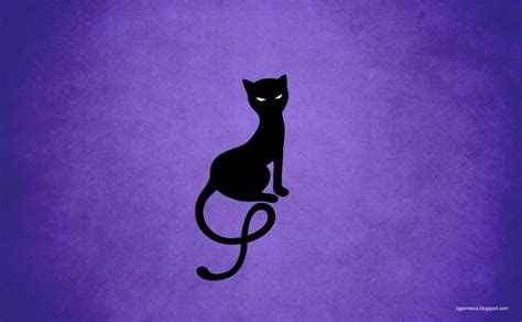 Animated Cat Wallpapers - Top Free Animated Cat Backgrounds - WallpaperAccess