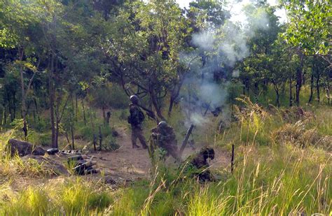 Usaraf Trains 4000 Troops In Chad Guinea Malawi Article The