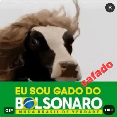 Gado Bolsonarista On Twitter O Gado Do Bolsonaro E A Broderagem