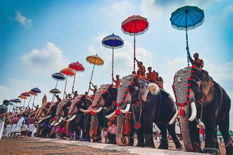 Pooram The Temple Festival