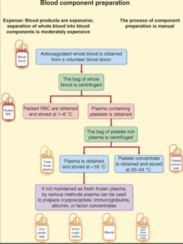 Transfusion Medicine Flashcards Quizlet