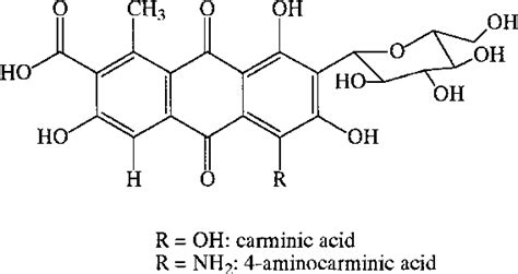 Structures Of Carminic Acid And 4 Aminocarminic Acid Download Scientific Diagram